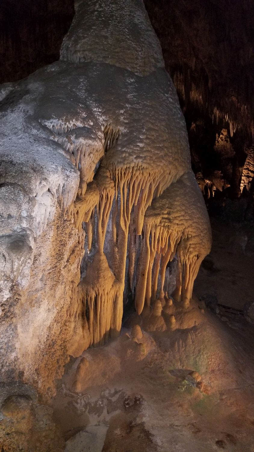 Carlsbad Caverns 